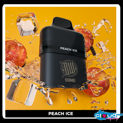 BEWOLK - Disposable Cartridges 5000 Puff 5%