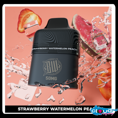 BEWOLK - Disposable Cartridges 5000 Puff 5%