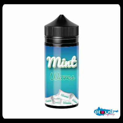 3rd WORLD - MINT - Waves 120ml